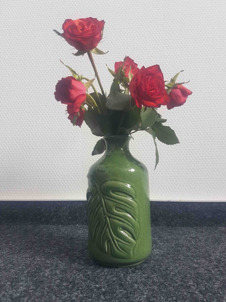 So fotografiert mein Handy mit der wasserdichten Schutzhülle über Wasser. Im Trockenen.